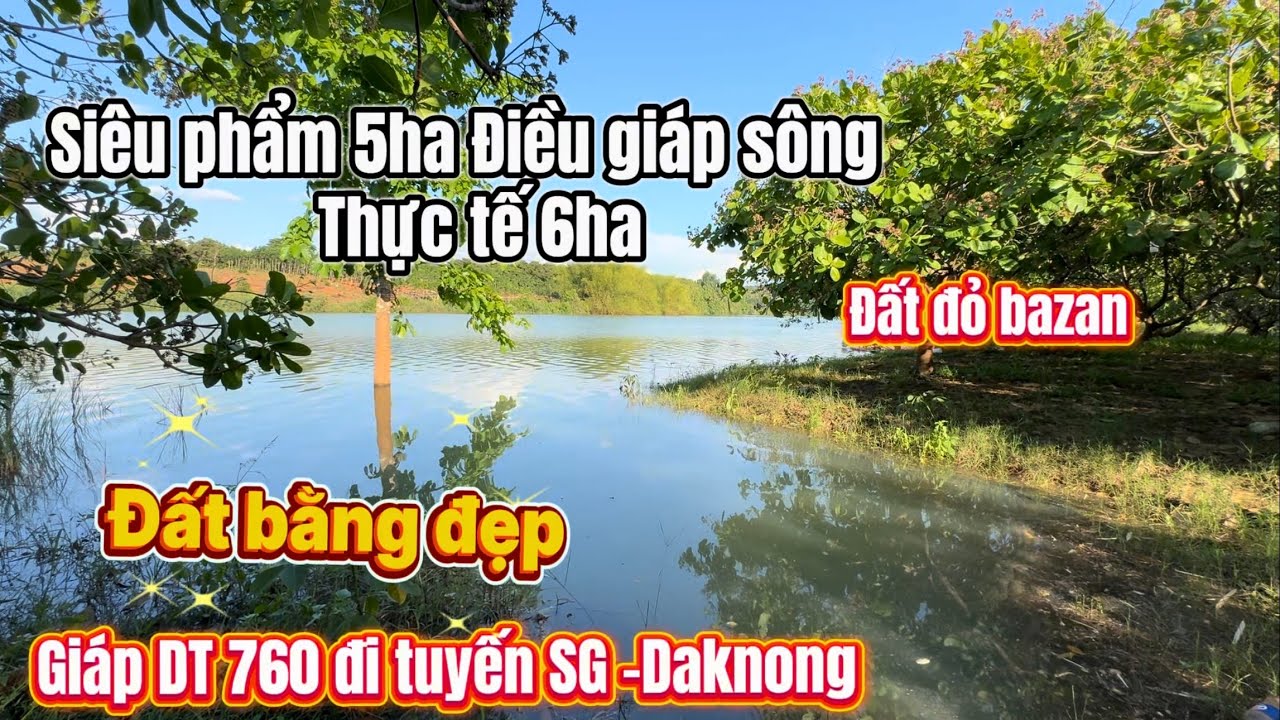 5ha đất này mà trồng sầu riêng thì đúng siêu phẩm,kiếm k có mảnh thứ 2