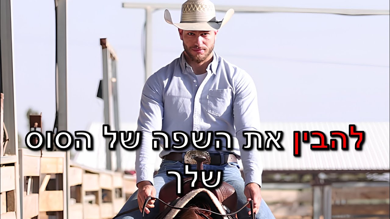 איך לדבר עם הסוס שלך – 4 שפות תקשורת שכל בעל סוס חייב להכיר