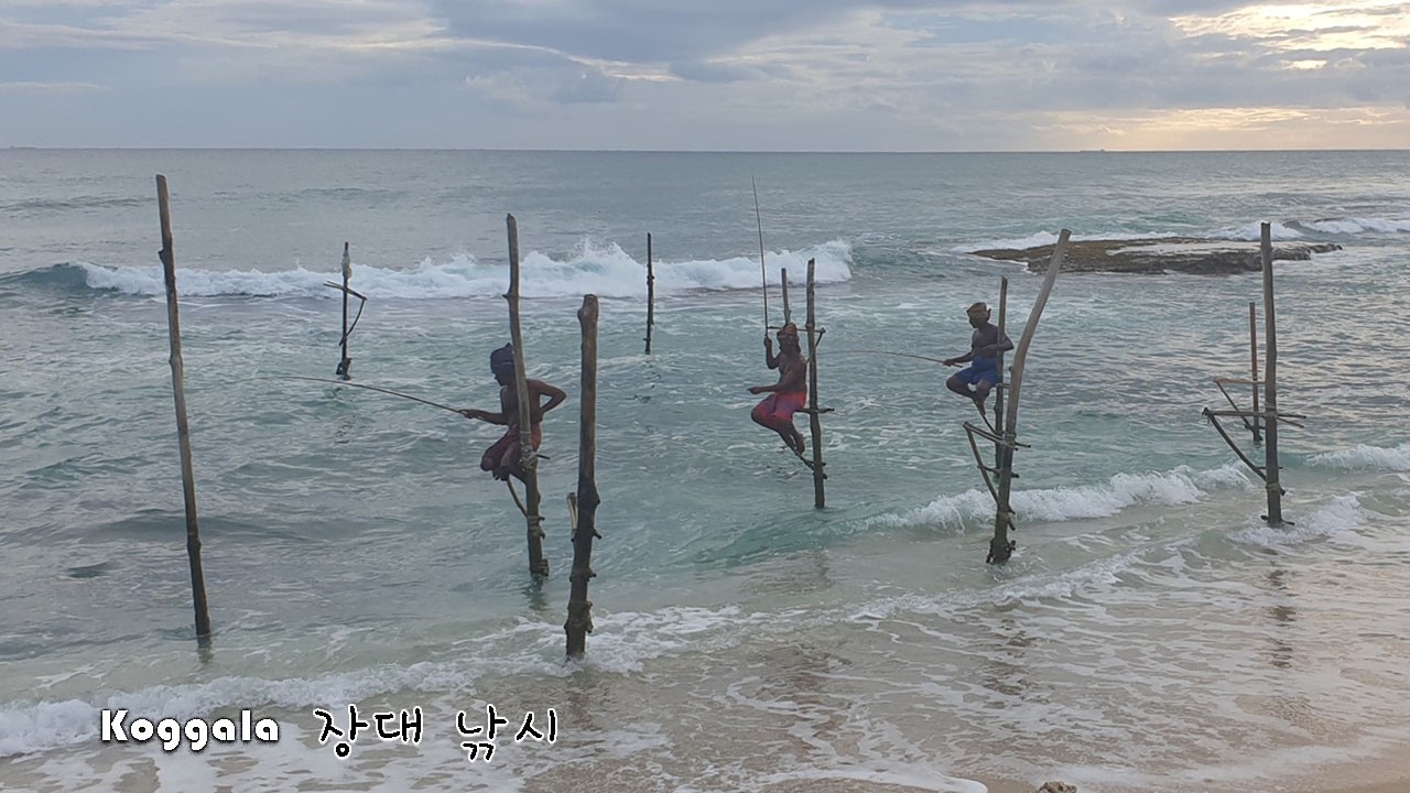 스리랑카 여행 6 남쪽 해변 장대 낚시, 요새 마을, 콜롬보  불교 사원 (Koggala. Galle. Colombo)