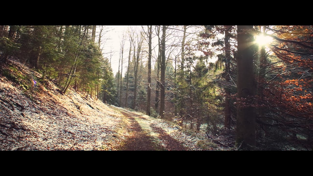 4.3K Canon EOS M Raw Video | Zhiyun Weebill S - First Snow in Thuringia