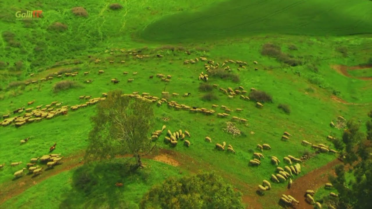 Zabur 90 - sano - Qodir Tangri soyasida yashash