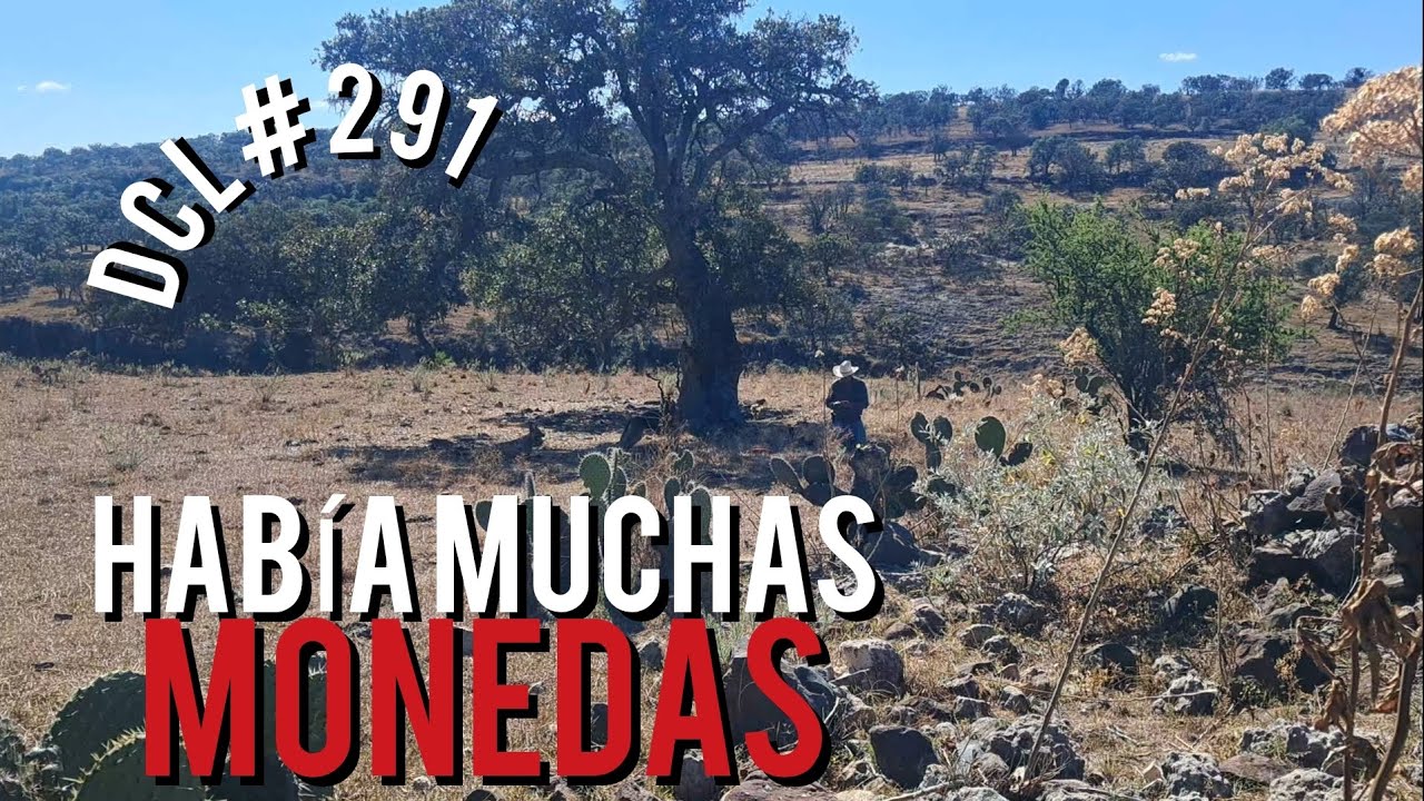 NO CREERÁS TODO LO QUE ENCONTRAMOS ENTRE CIMIENTOS Y NOPALES 