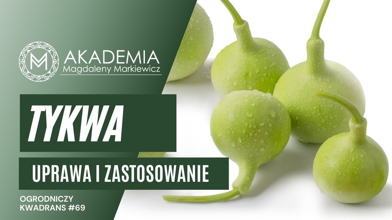 Ogrodniczy Kwadrans #69. Uprawa i zastosowanie tykwy