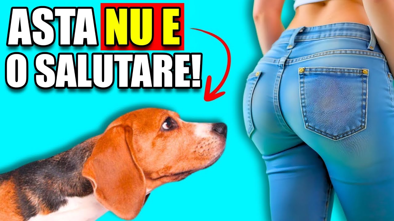 Când Câinii Îți MIROS Fundul, Asta Este Ceea Ce Înseamnă Cu Adevărat