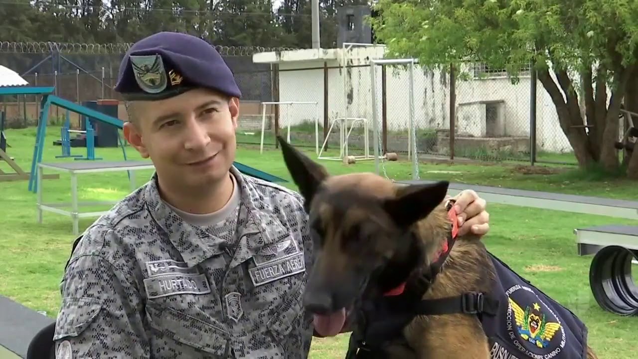 Los perros paracaidistas de la Fuerza Aérea Colombiana