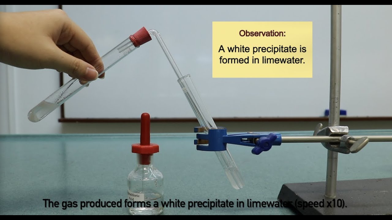 Reaction of Acid and Carbonate (+ test for carbon dioxide gas)