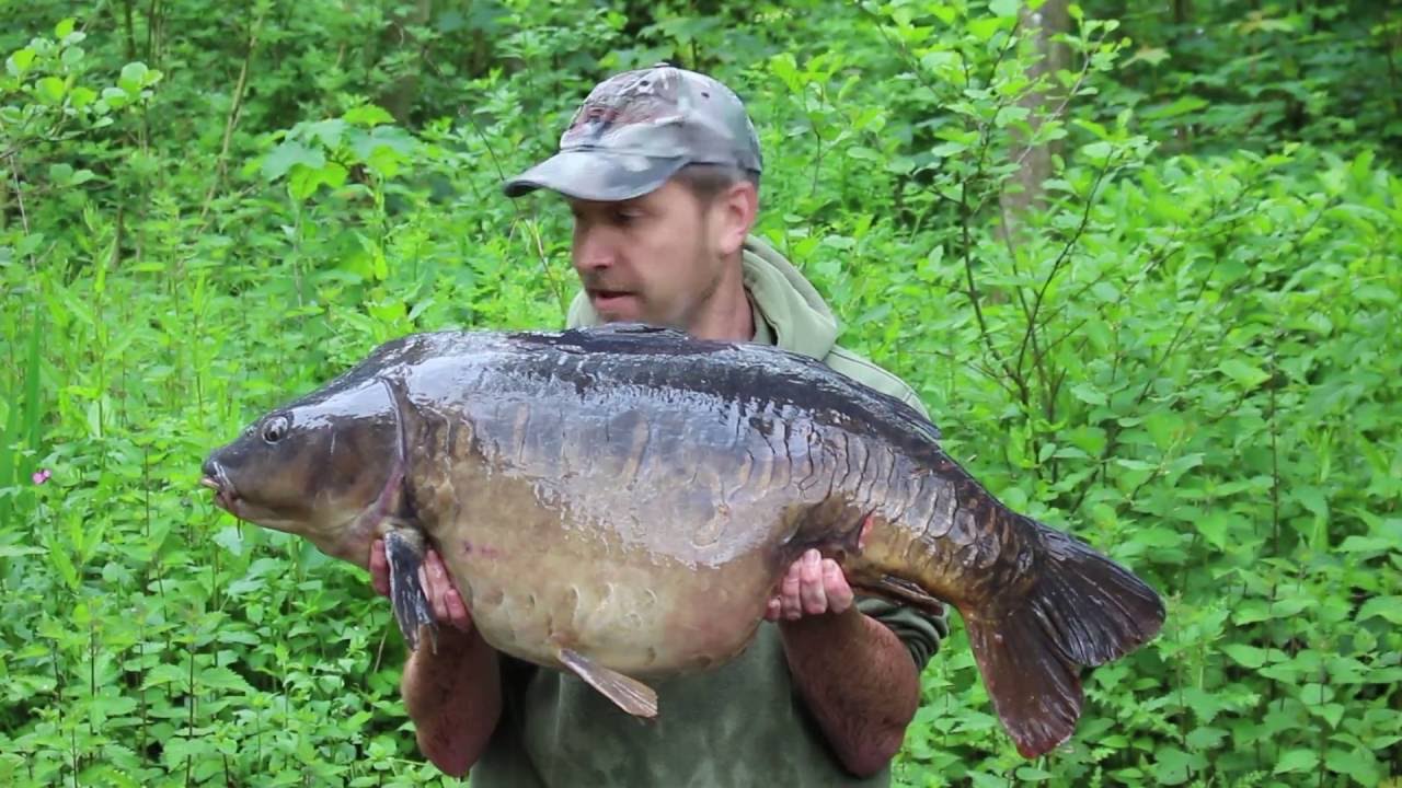 Fat Fish Tackle - 41lb Mirror from Chilham Mill