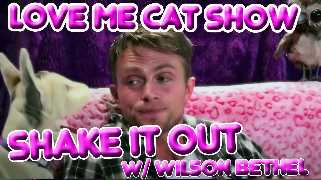 The Love Me Cat Show - Shake It Out with Wilson Bethel
