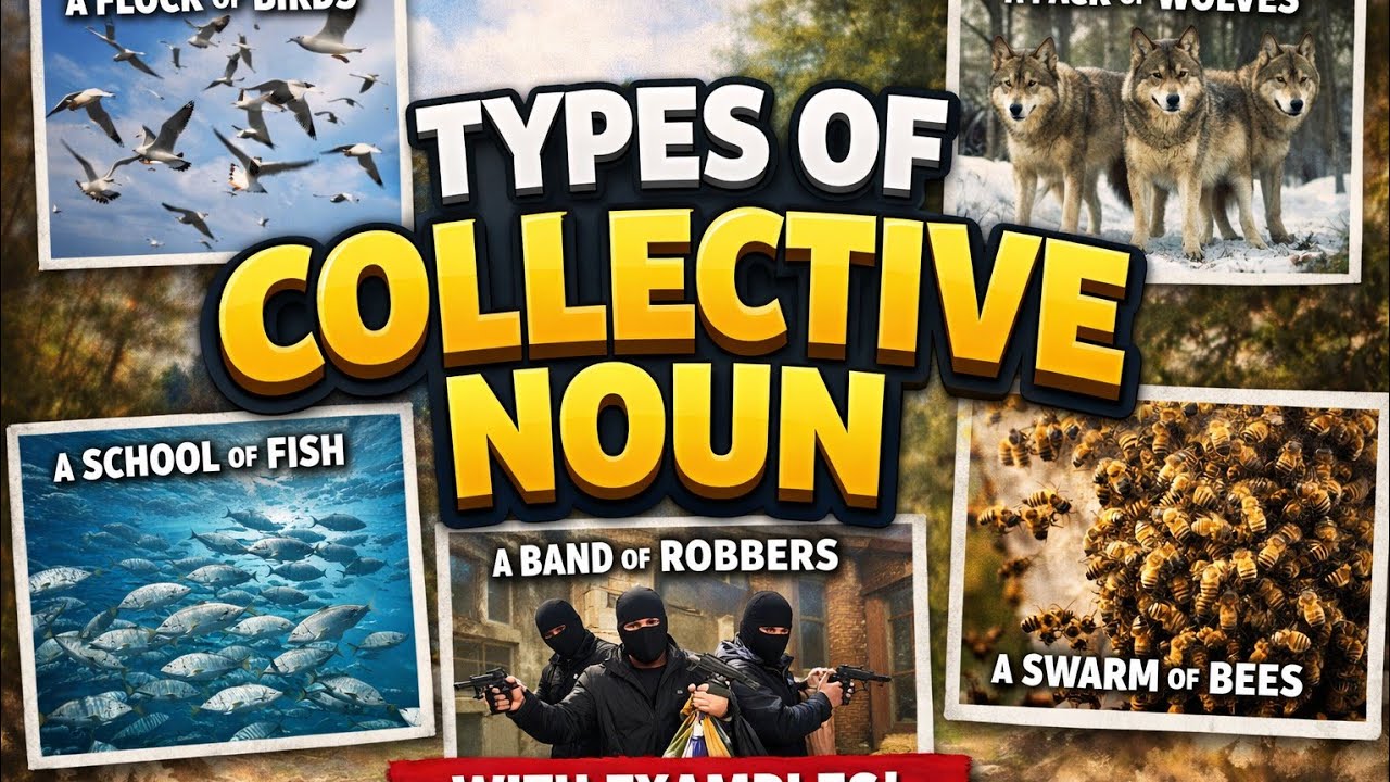 Types  of collective  Noun