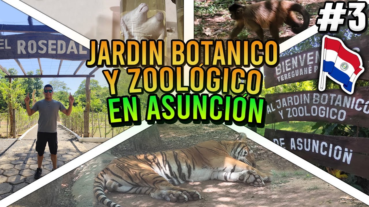¿Cómo es EL JARDIN BOTANICO de Asunción? 👉🏼 Recorriendo el museo de historia natural y Zoológico 🇵🇾
