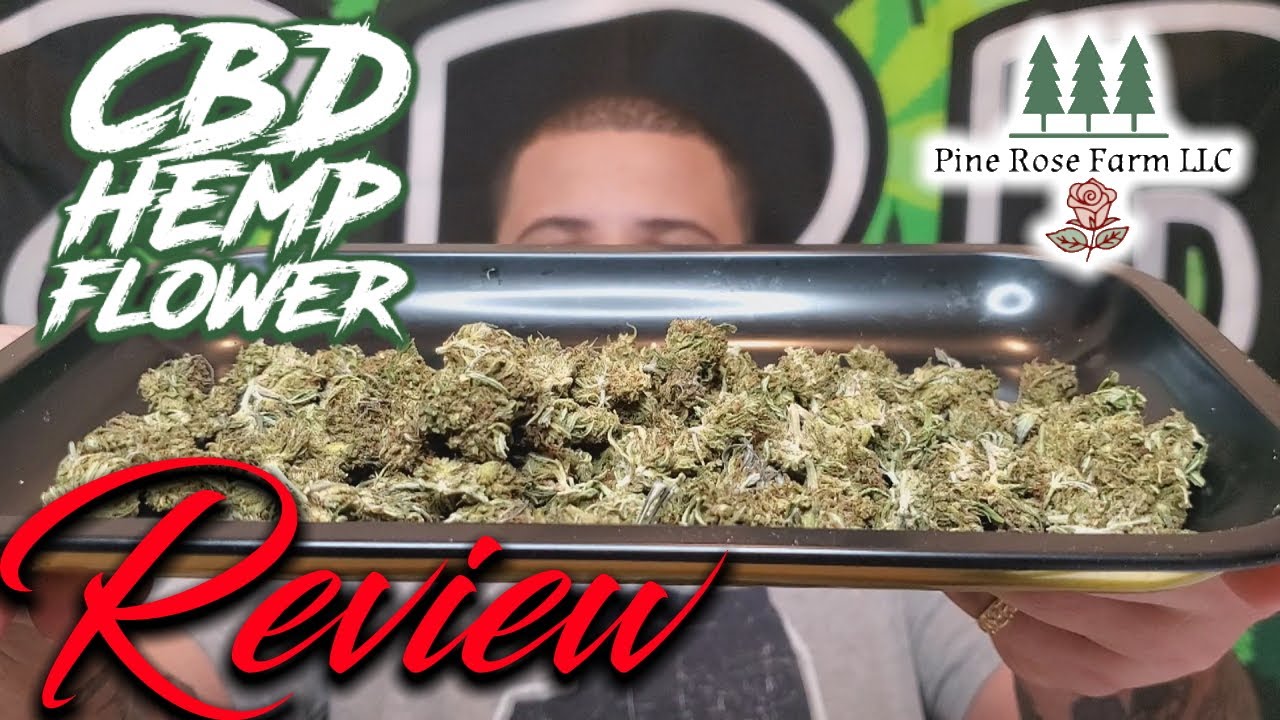 High THCA AND it's Cheap? LFAV from Pine Rose Farm | CBD Hemp Flower Review