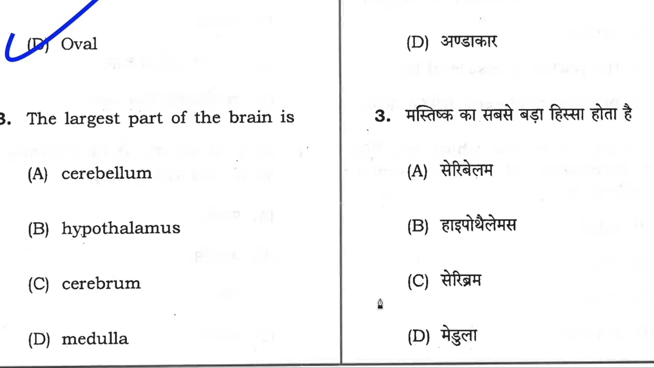 NHM CHO Paper 2023 | 2023-2024 Nursing Paper | Paper set -1st