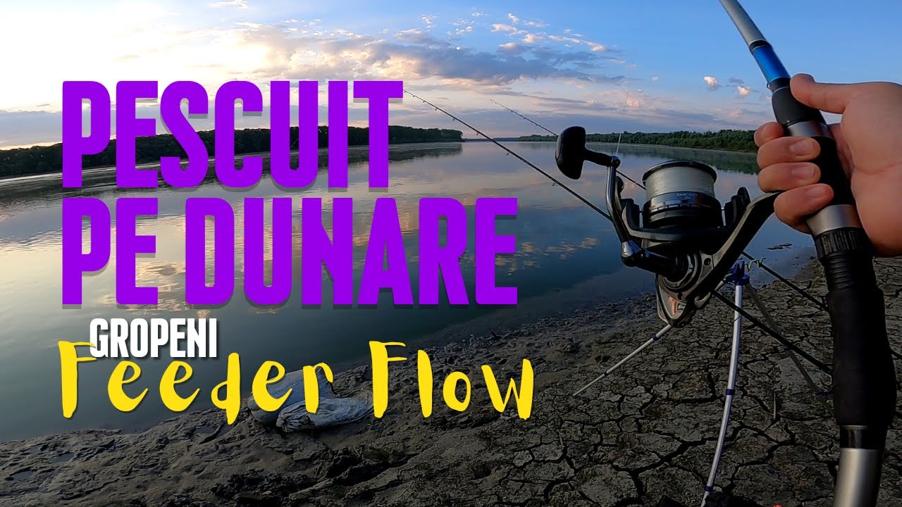 Pescuit pe Dunare 🐟// Sondare, capturi si experiente 👀