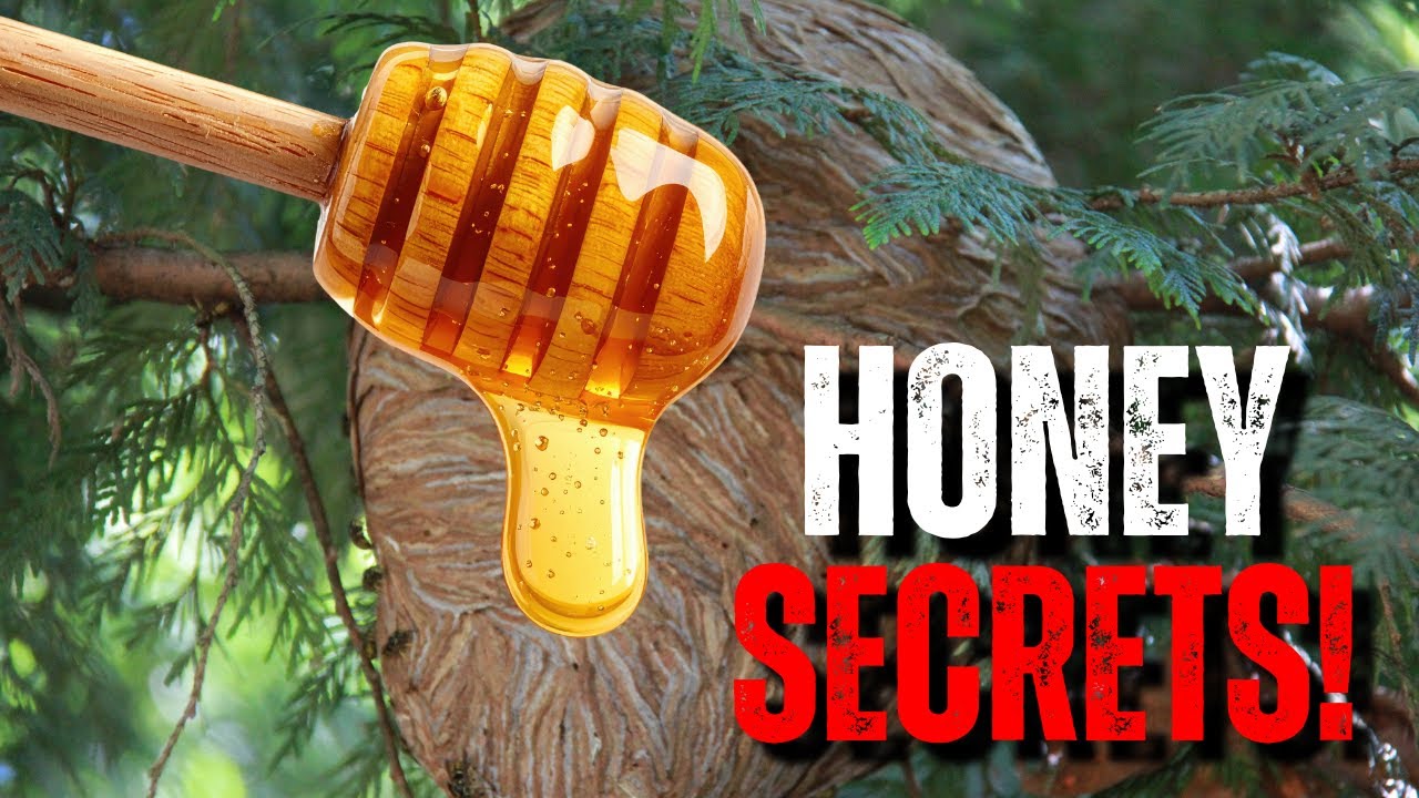 Top Raw Honey Benefits Most People Don’t Know About