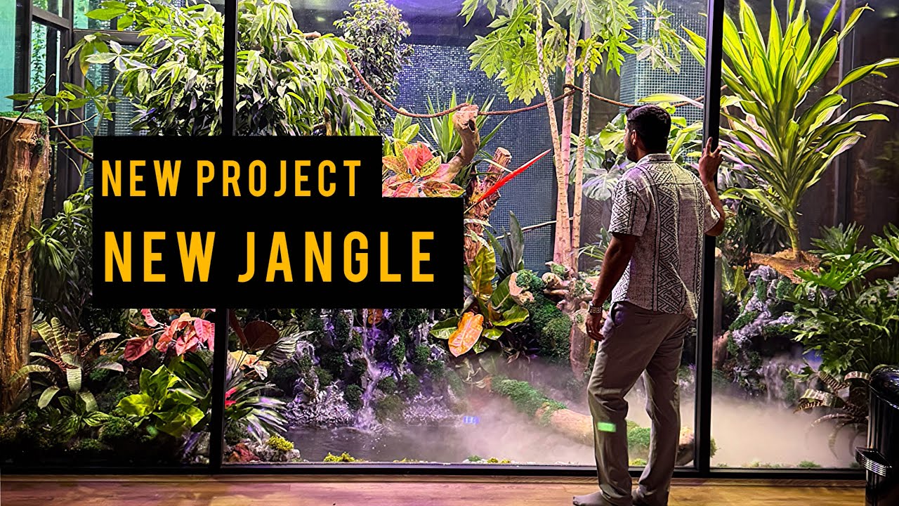 The newest forest we built in the Middle East