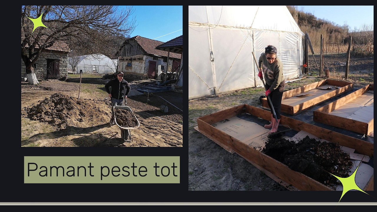 Cum am aranjat curtea și paturile înălțate