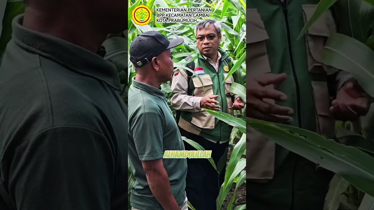 Swasembada pangan kemenangan petani kemenangan Indonesia