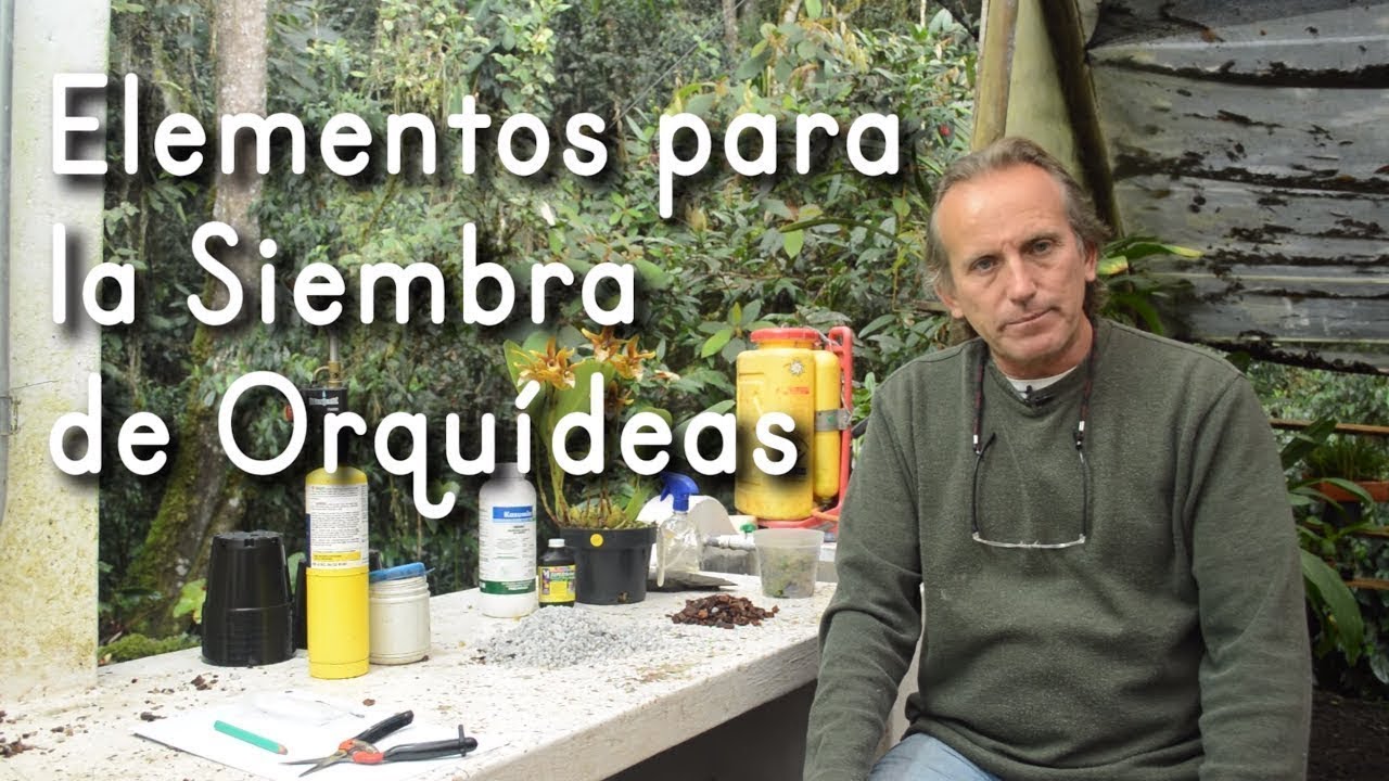 Elementos para sembrar Orquídeas - Macetas, Sustratos y Desinfectantes