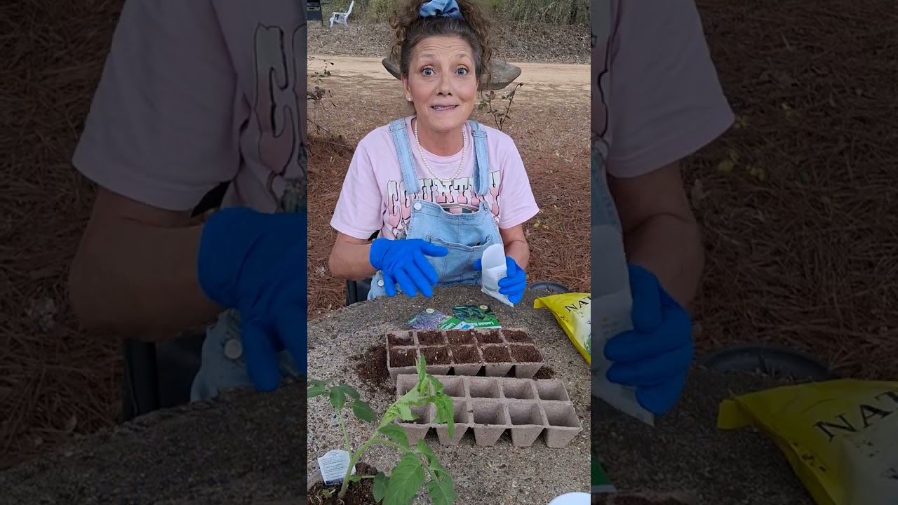 Seeds  for a herbal garden!