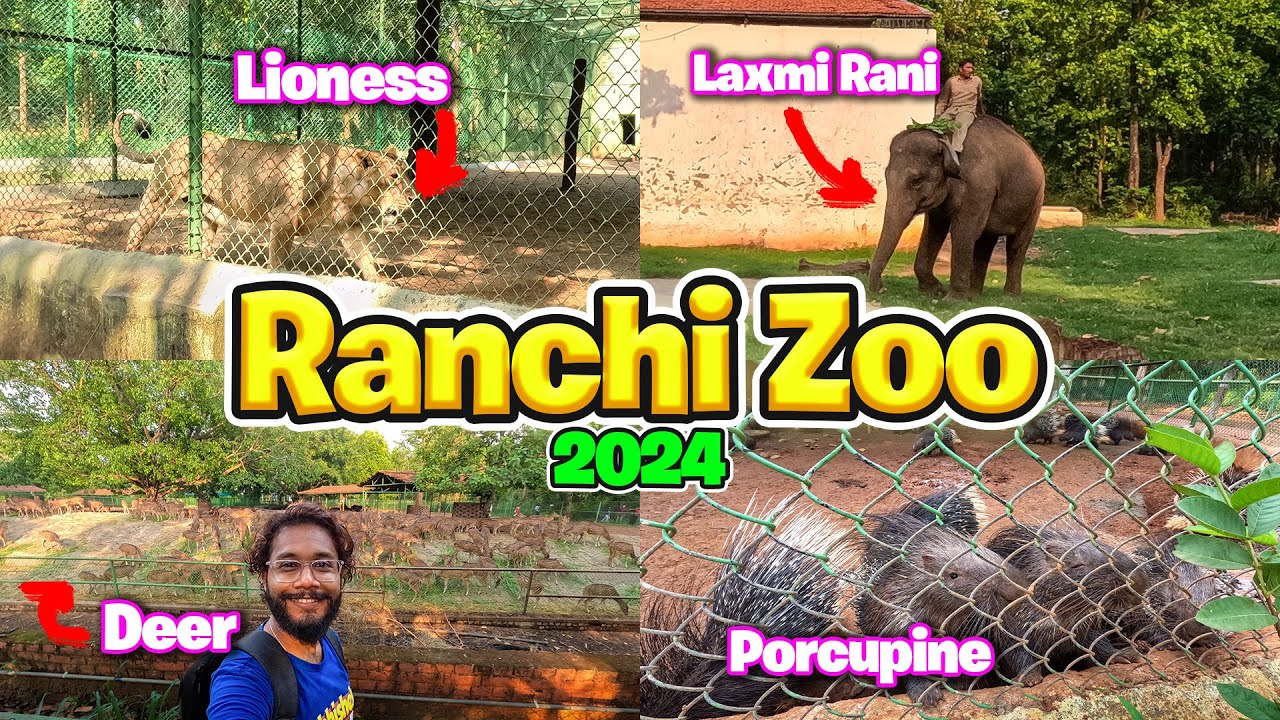 RANCHI ZOO Full Tour 2024 | Bhagwan Birsa Biological Park Ranchi | Zoo of Ranchi