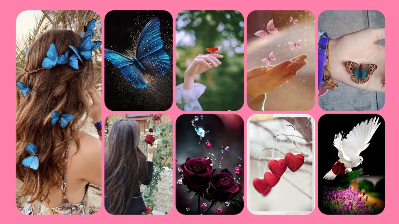 💗💕#Beautiful dpz with butterfly #stylis profile pictures #wallpaper #2023 #cute dp #hand dpz