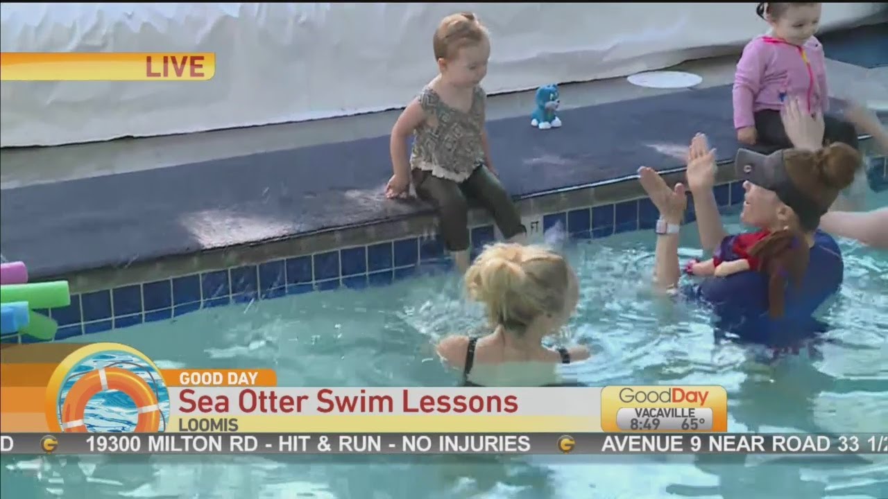 Sea Otter Swim Lessons
