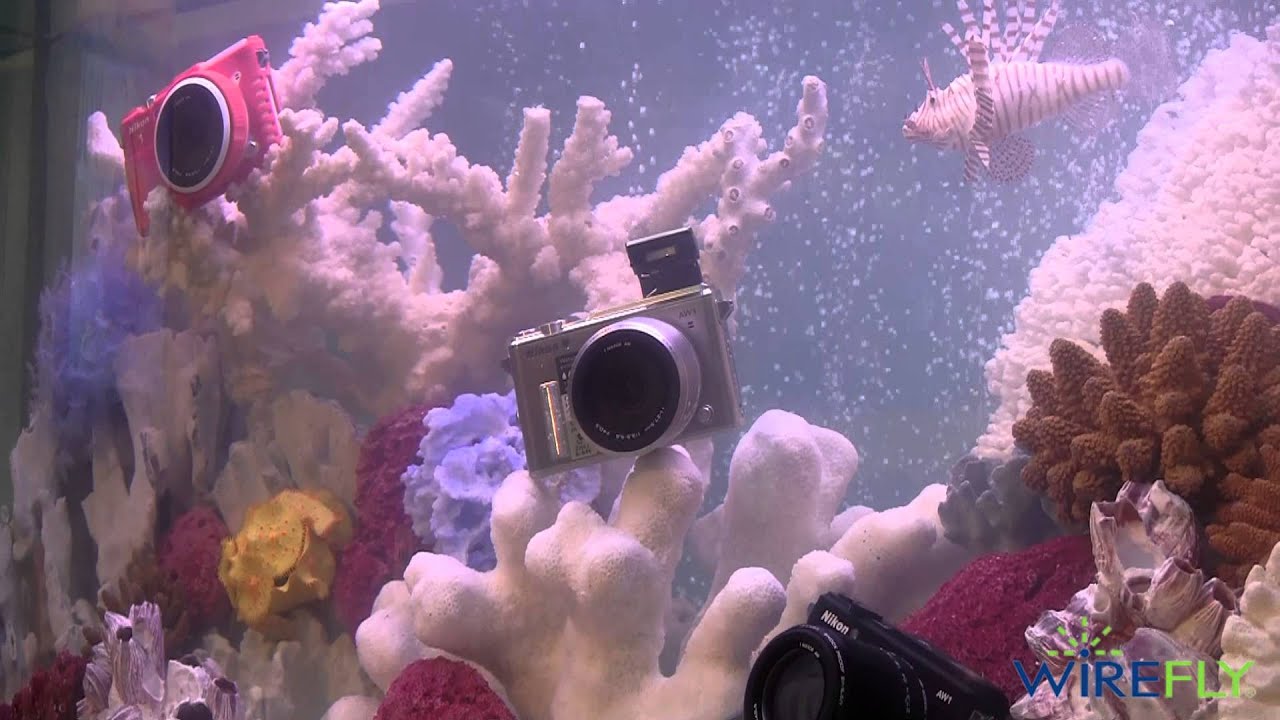 Wirefly's view of Day 2 of CES 2014