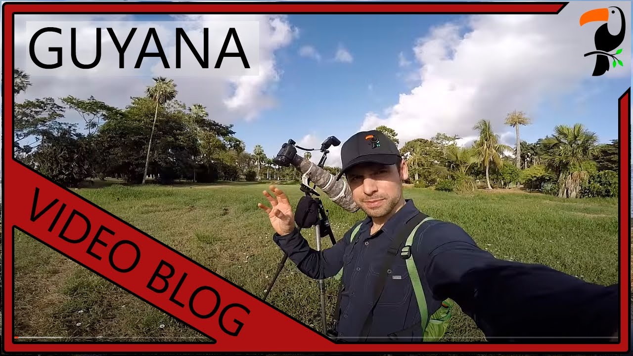 Video Blog - 3.5 Weeks in Guyana