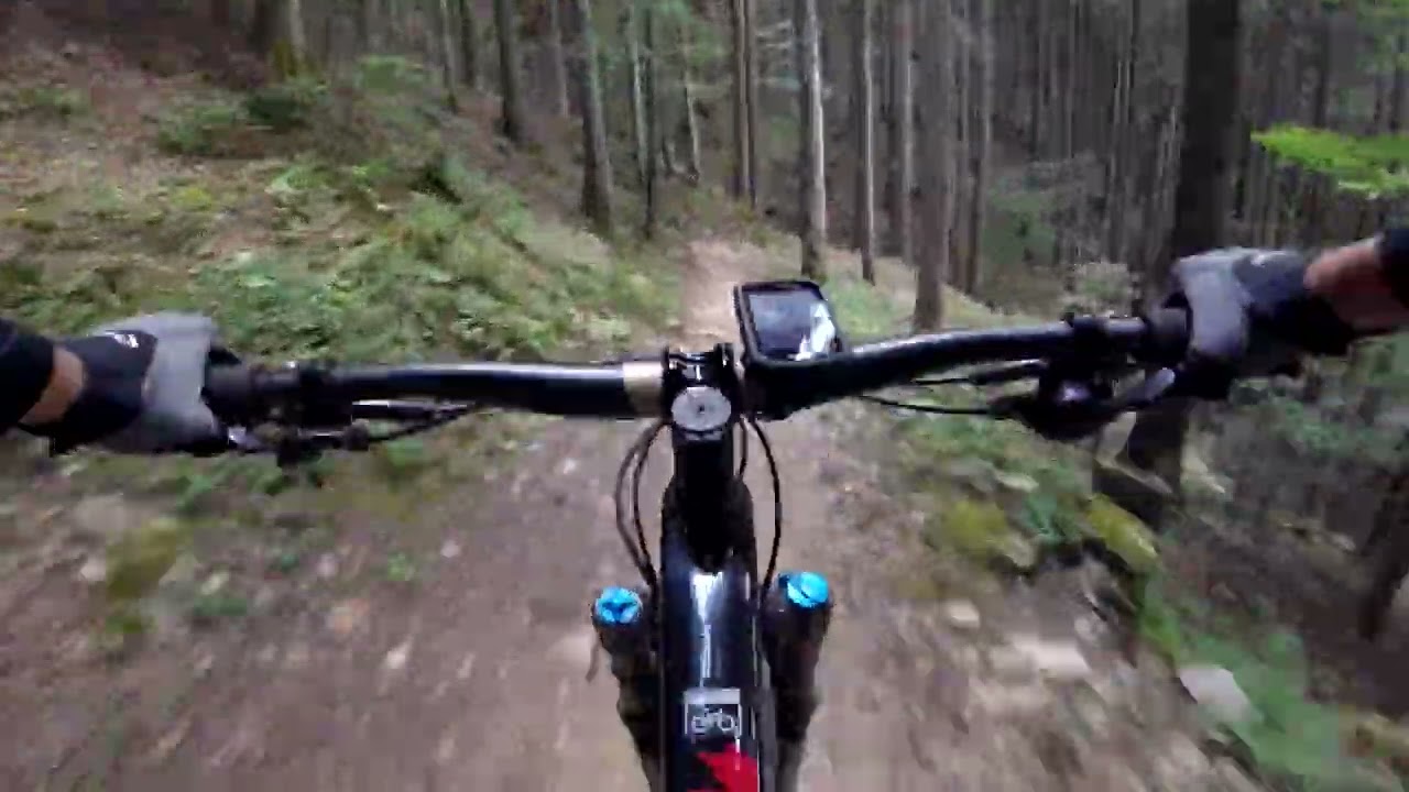 Sestola Cimone Bike Park 2025 DH, Falco Rosso, Balla coi lupi