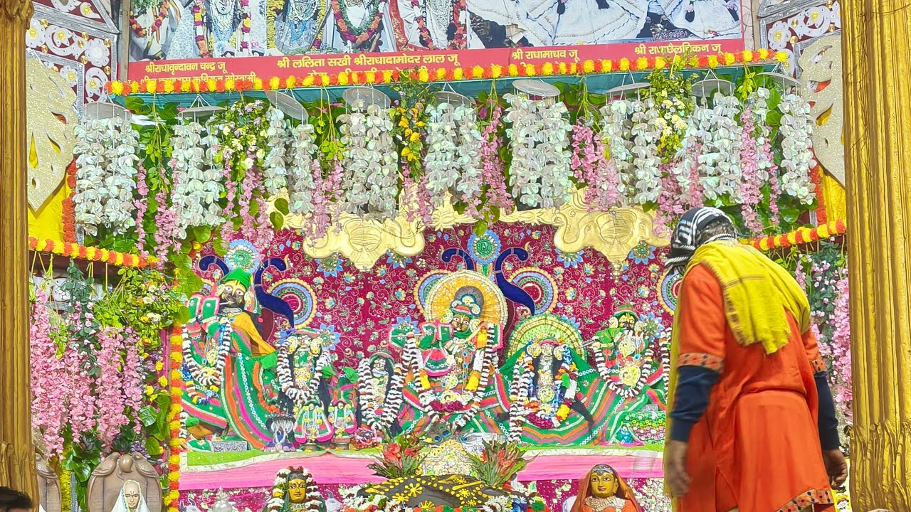 Daily mangla arti darshan from Vrindavan#manglaarti #mydailyroutine #vrindavan #bankebihari #vlog 