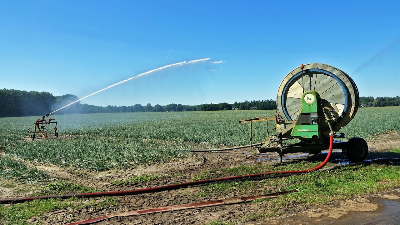 Irrigating Onions | Bauer Rainstar E51 | 2022