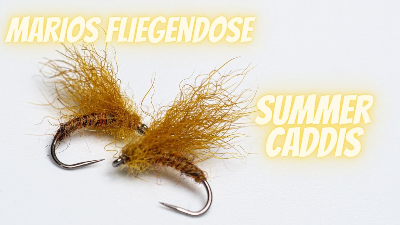 Marios Fliegendose - Summer Caddis - Fliegenbinden f&uuml;r Anf&auml;nger