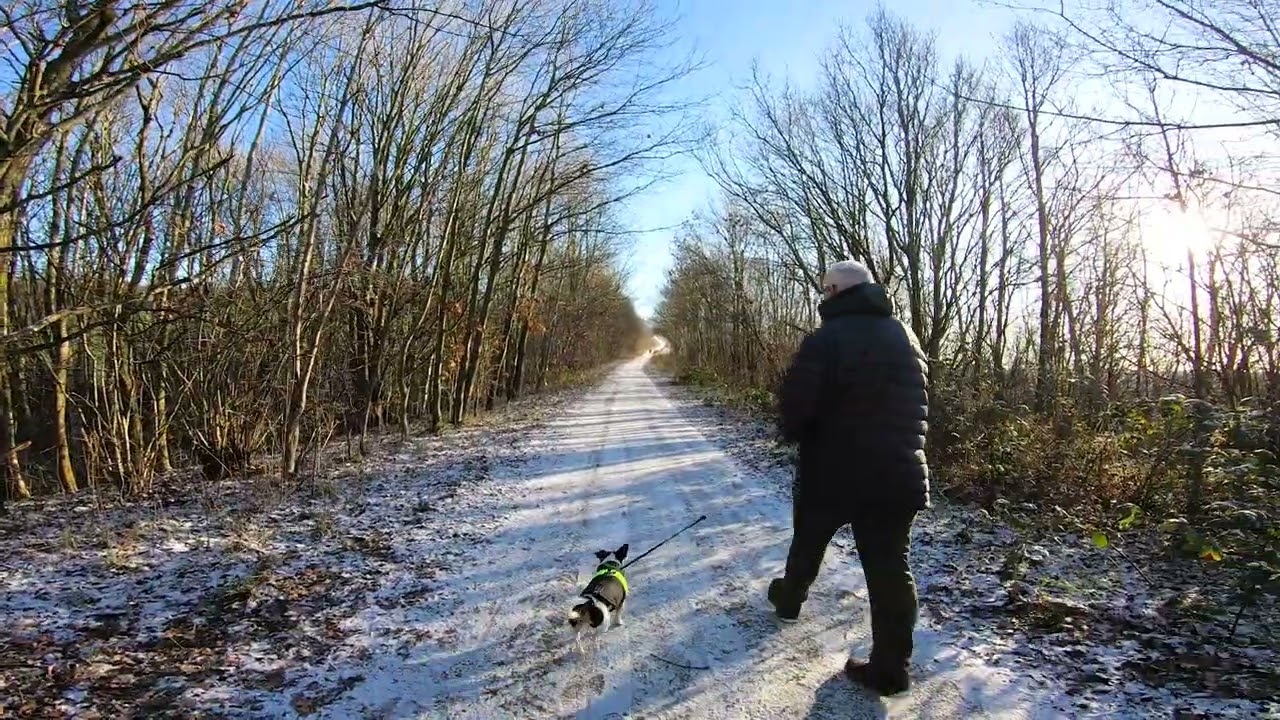 Light dusting of snow walk