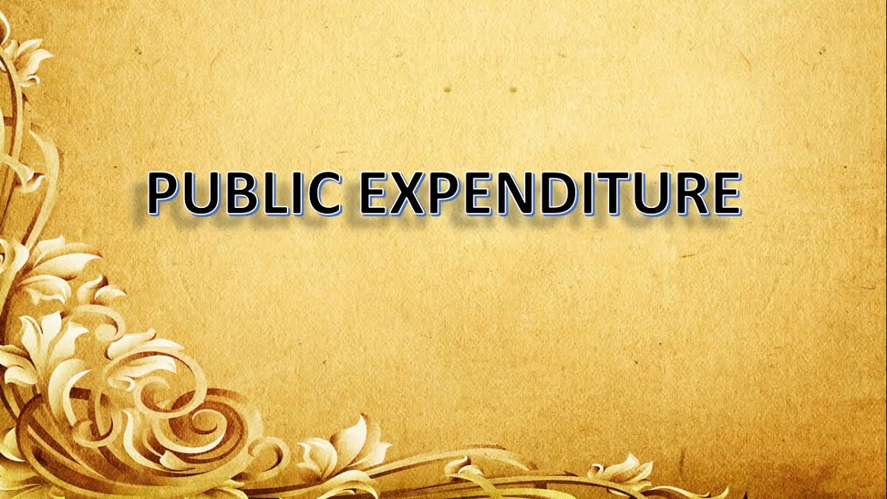 PUBLIC EXPENDITURE