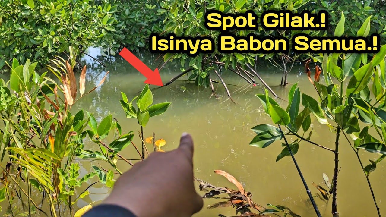 SPOT GK MASUK AKAL..! Lebar Cuma 1meter Tapi Ikanya Babon2 Sumpah..!! 😁