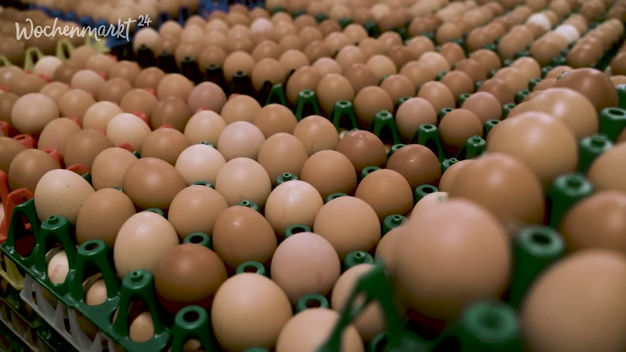 DerBioMüller- Unsere Nudelproduktion