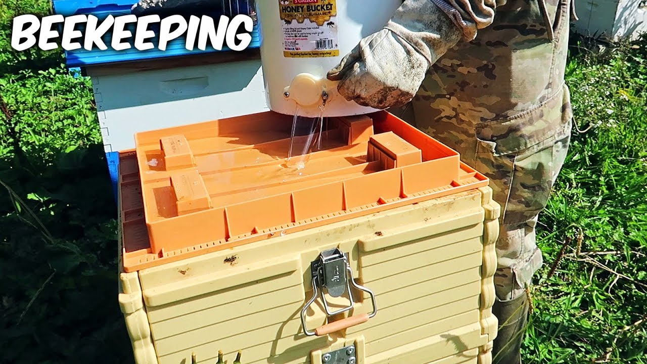 Best Sugar Syrup Feeder - Beekeeping