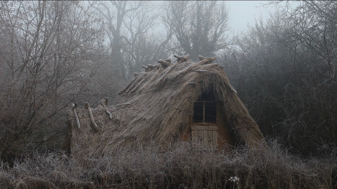 Spending a Medieval Winter on an Anglo-Saxon Homestead | Felling Trees, Carpentry and Hedge Laying
