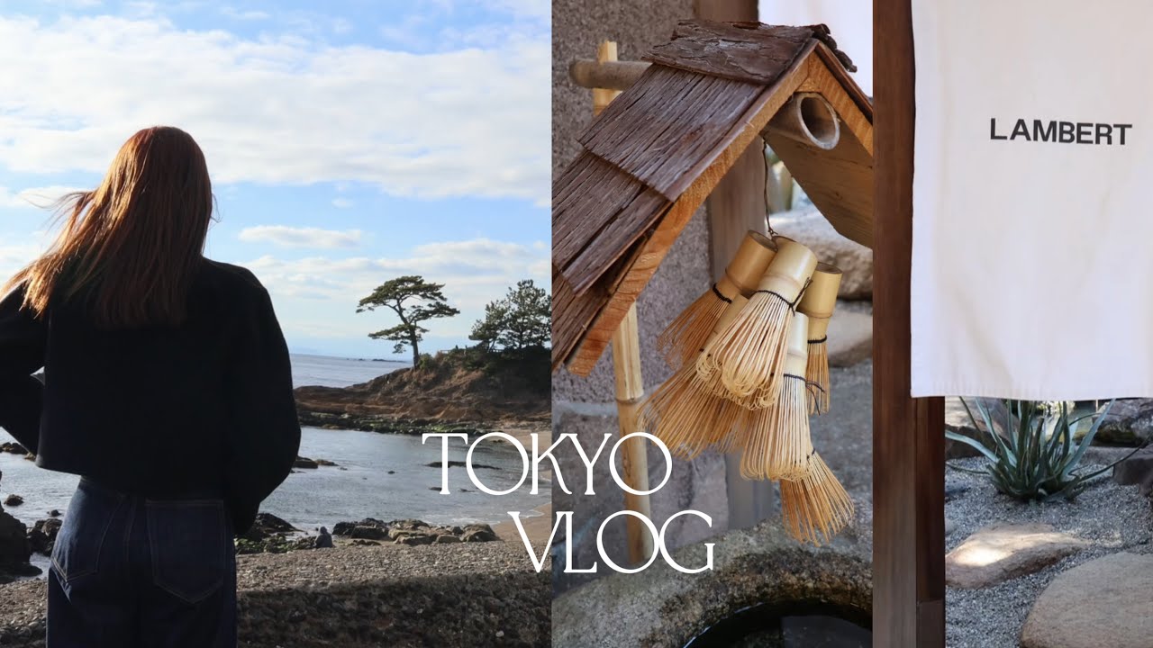 LIVING IN JAPAN｜超火🍵LAMBERT抹茶咖啡館｜🫖蕾絲玻璃器大采購｜春季家居🏠佈置進行中｜看鳥和魚的飛翔🚢