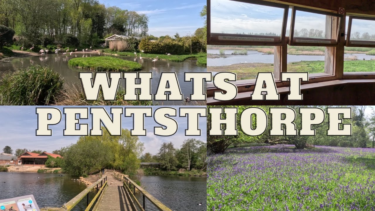 QUIETLY EXPLORING PENTSTHORPE NATURE RESERVE. A FANTSTIC DAY OUT IN NORFOLK