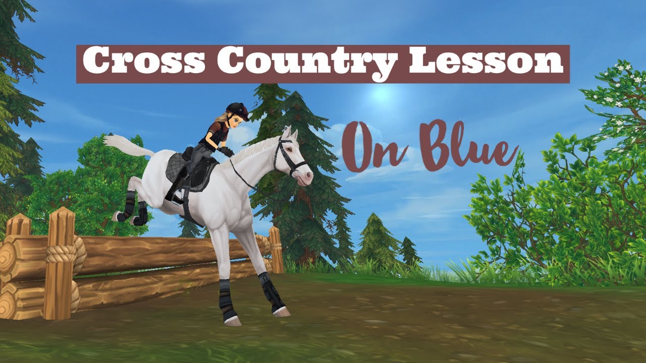 Cross Country Lesson w/ Blue! | SSO RRP | Ashley Eventing