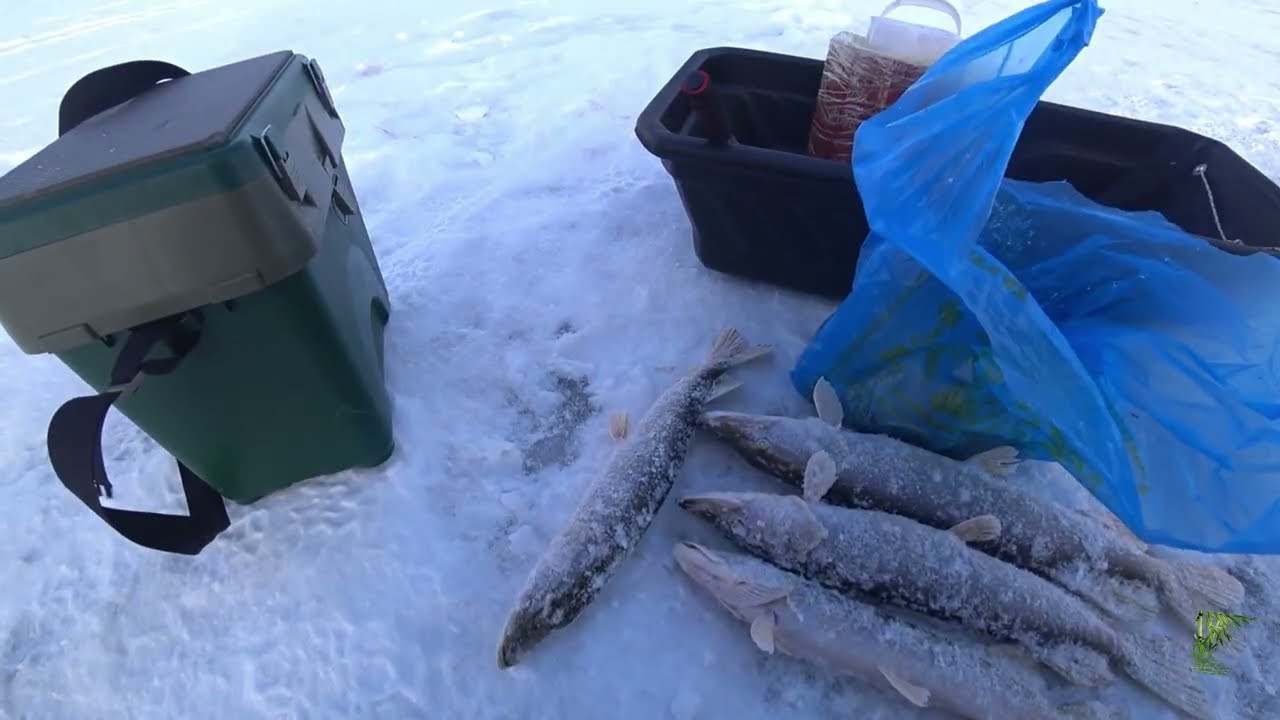 Шахтинск-Ынтымакское водохранилище.Рыбалка /жерлицы/
