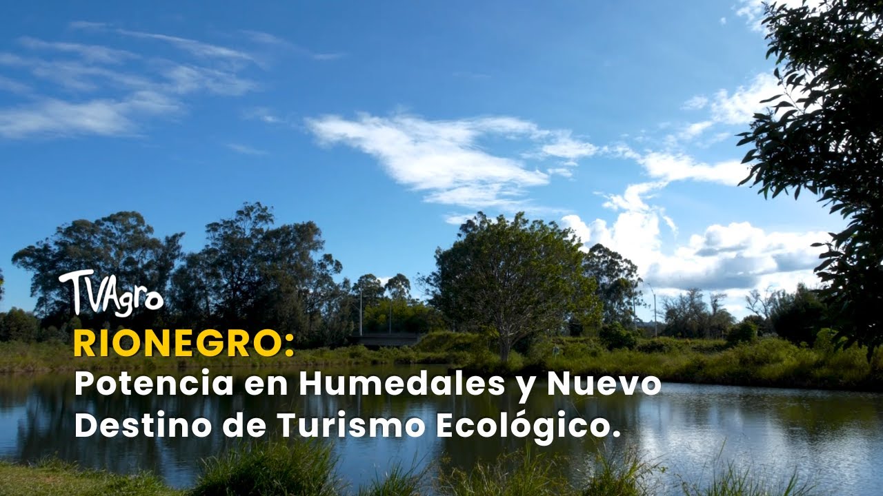 Rionegro: Potencia en Humedales y Nuevo Destino de Turismo Ecológico - TvAgro por Juan Gonzalo Angel