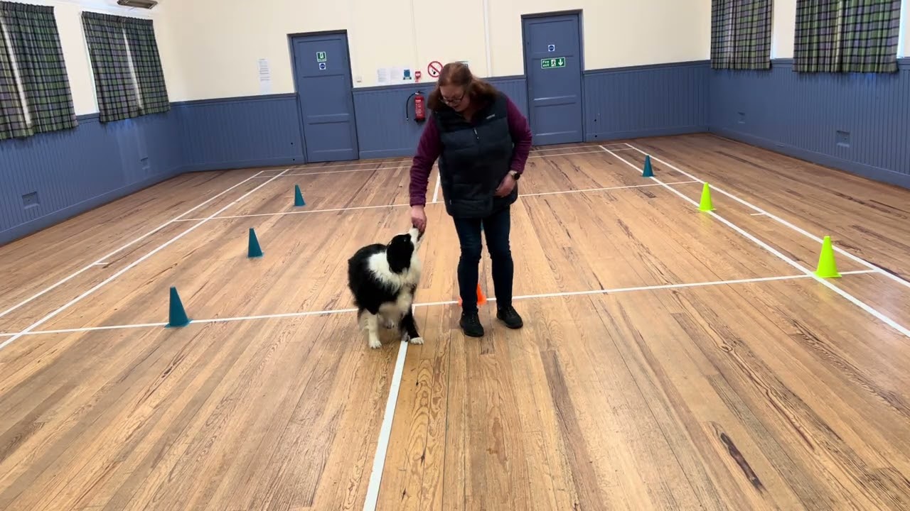 Frankie Training 1 - January 2026
