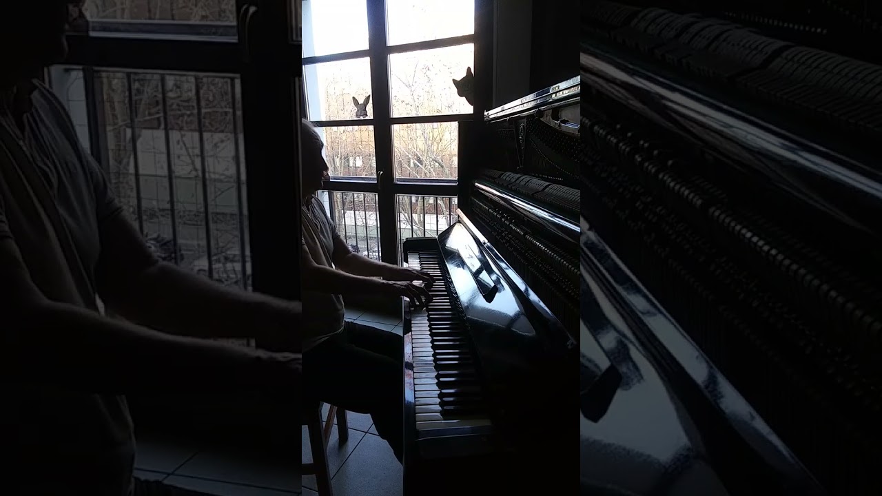 Blu notte / piano nudo. / 1a / Bechstein
