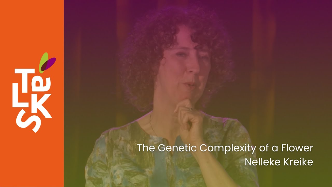 The Genetic Complexity of a Flower by Nelleke Kreike - Seed Valley Talk