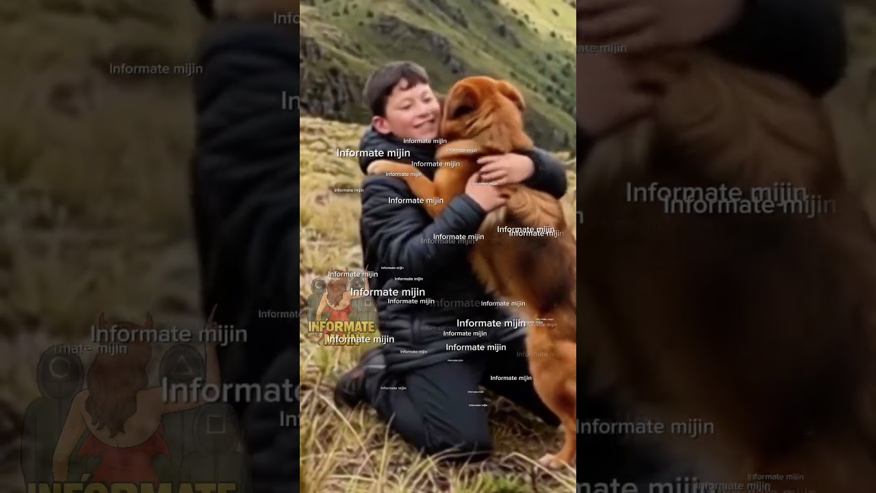 Falleci&oacute; Jachi el perrito h&eacute;roe del Cerro Pu&ntilde;ay #ecuador #noticias