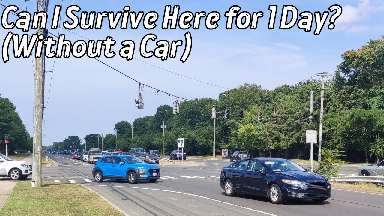 Survive 1 Day without Car in a US Suburbia