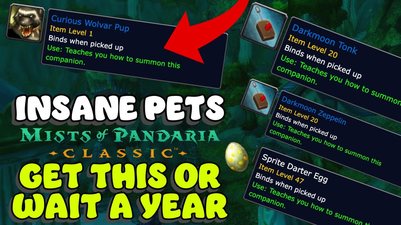 Get some of these pets NOW! Overpowered Pet Comps in MoP Classic