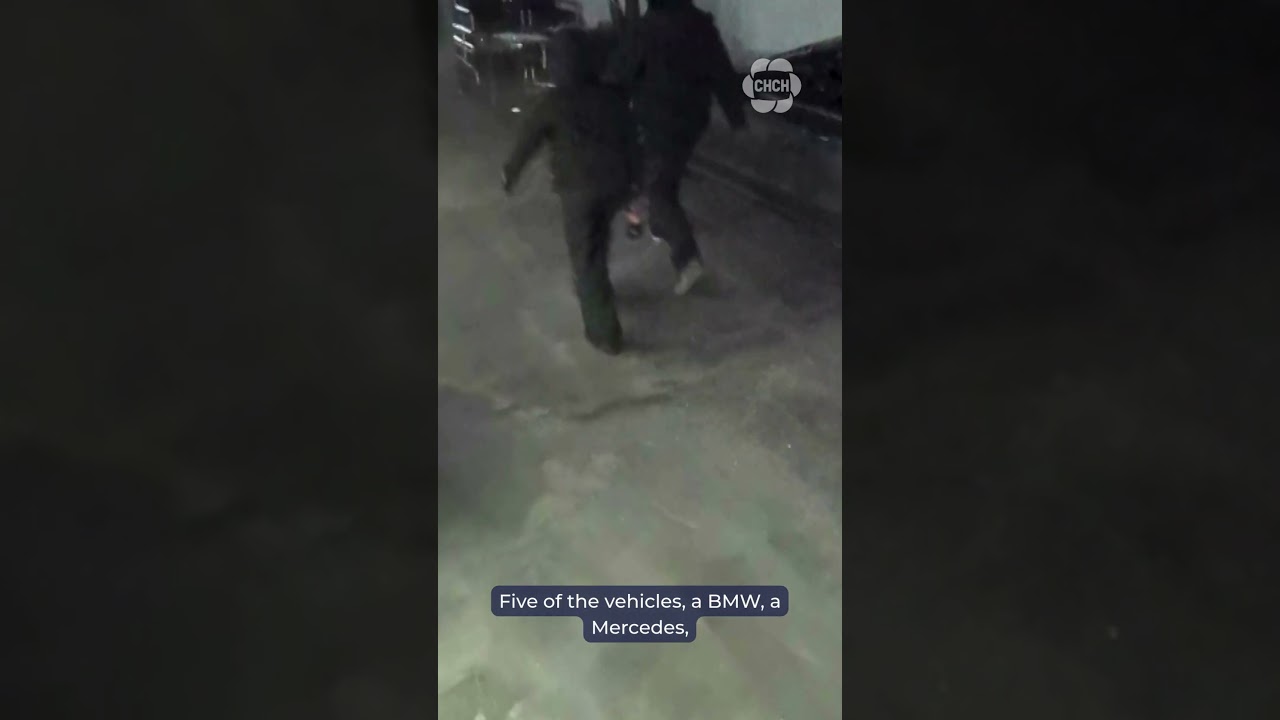Police arrest two suspects in luxury car heist at Oakville dealership